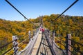 Suspension Bridge surrounded by ginkgo and maple trees in Hoshida Park