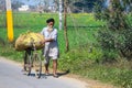 Hoshiarpur Punjab India 02 25 2021 A farmer riding on a bicycle while working in his fields