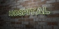 HOSPITAL - Glowing Neon Sign on stonework wall - 3D rendered royalty free stock illustration