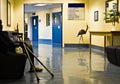 Hospital hallway