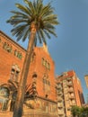 Hospital sant pau exterior with a palm tree Royalty Free Stock Photo