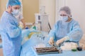 Hospital. Surgeon operates in the operating room. Surgeon getting ready to operate on a patient Royalty Free Stock Photo