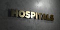 Hospitals - Gold sign mounted on glossy marble wall - 3D rendered royalty free stock illustration