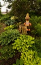 Hosta garden and clay pot character Royalty Free Stock Photo