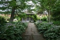 Hosta lined pathway