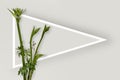 Hosta stems and white triangular frame with copy space on cream background