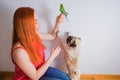 The hostess teaches pets to get along Royalty Free Stock Photo