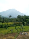 Hot afternoon Andong Mountain Magelang Royalty Free Stock Photo