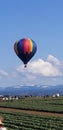 Hot air ballon  at tulipfest Royalty Free Stock Photo