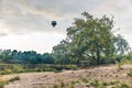 Hot air balloon above a landscape