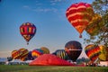 Hot Air Balloon Festival Morning, Sunrise Launch of Multiple Balloons