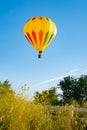 Hot air balloon in a field