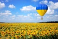 Hot Air Balloon with Flag of Ukraine Fly Over Sunflowers Field. 3d Rendering