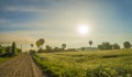 Hot air balloon flying over the road