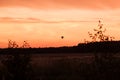 Hot air balloon flying at sunset sky Royalty Free Stock Photo