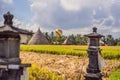 Hot air balloon over the green paddy field. Composition of nature and blue sky background Royalty Free Stock Photo