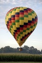 Hot air balloon rising above a corn field