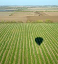 Hot air balloon shadow over row crop field Royalty Free Stock Photo