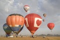 Hot air balloons during annual championships