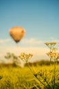 Hot Air Balloons in Flight. Hot Air Balloon on morning sky background. Royalty Free Stock Photo