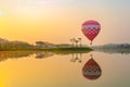 Hot air balloons flying over Flower field with sunrise at Chiang Rai Province, Thailand Royalty Free Stock Photo