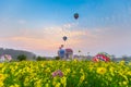 Hot air balloons flying over Flower field with sunrise at Chiang Rai Province, Thailand