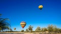 Hot Air Balloons Over Vineyards Royalty Free Stock Photo