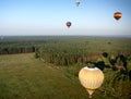 Hot-air balloons over field and forest Royalty Free Stock Photo