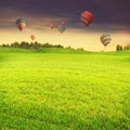 Hot air balloons over green summer meadow