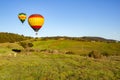 Hot Air balloons over Napa Valley wine country at sunrise