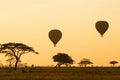 Hot Air Balloons over the Serengeti Royalty Free Stock Photo