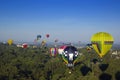 Hot Air Balloons at Treetop