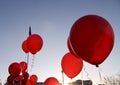 Hot air red ballons against blue sky with white fluffy clouds Royalty Free Stock Photo