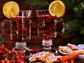 Hot alcohol wine and Christmas cookie with canella stick