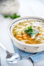 Hot and alible chicken soup Royalty Free Stock Photo