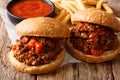 Hot American Delicious sandwiches Sloppy Joe and french fries, k Royalty Free Stock Photo