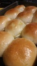 Hot Baked Rolls