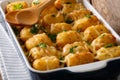 Hot Baked Tater Tots with cheese, meat, corn and parsley close-up in on the table. horizontal