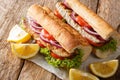 Hot Balik Ekmek fish sandwich with grilled mackerel served with lemon closeup. horizontal Royalty Free Stock Photo