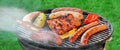 Hot BBQ Grill With Assorted Meat On The Garden Lawn Royalty Free Stock Photo