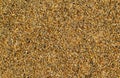 Hot beach sand photo for background. Tropical beach with golden sand Royalty Free Stock Photo