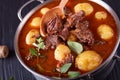 Beef Stew in a metal casserole