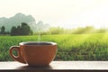 Hot Black hot coffee with smoke. Ceramic brown glass placed on an outdoor wood table. The background is a landscape of nature Royalty Free Stock Photo