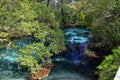 The hot blue and emerald geothermal pools. Juniper Springs Florida.