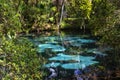 The hot blue and emerald geothermal pools. Juniper Springs Florida.
