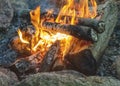 Hot campfire flames, Burning fire wood Royalty Free Stock Photo