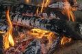Hot campfire flames up close, Burning fire wood background. Royalty Free Stock Photo