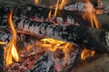 Hot campfire flames up close, Burning fire wood background.