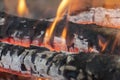 Hot campfire flames up close, Burning fire wood background.