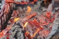 Hot campfire flames up close, Burning fire wood background.